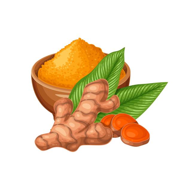 illustrations, cliparts, dessins animés et icônes de racine de curcuma, feuille verte et bol avec poudre de curcumine - spice ayurveda herb curry powder