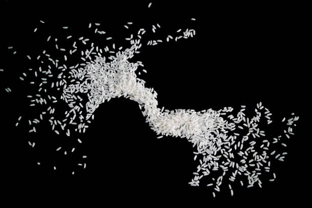 istock Raw white rice splash on black background. Uncooked rice explosion. 1495212489