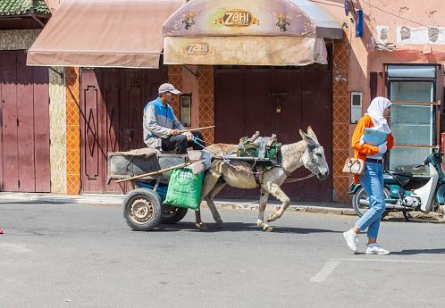 Donkey Cart at Medina District in Marrakesh, Morocco, with people visible.