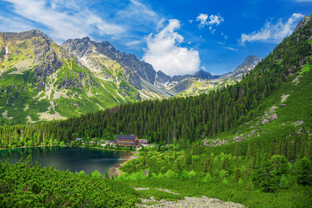 Picturesque panoramic view of Popradske Pleso, Tatra mountains, Slovakia. Picturesque panoramic view of Popradske Pleso, Tatra mountains, Slovakia. Lake Popradske pleso with mountain hotel in High Tatras. tatra tourists stock pictures, royalty-free photos & images