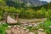 Wooden bridge over a mountain river in the forest.