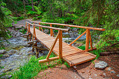 Wooden bridge over a mountain river in the forest.