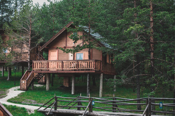 istock Wooden house in the forest. 1495217685