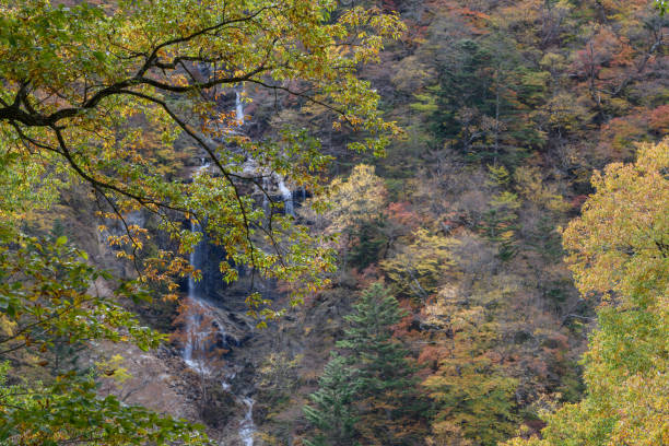 istock Jao Falls in the autumn 1495218378