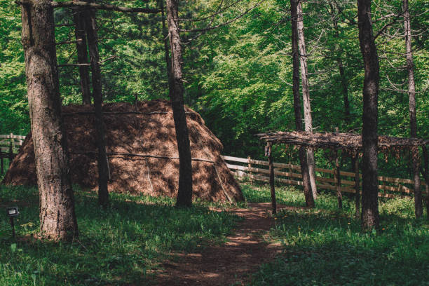 istock Old haystack in the woods. retro vintage film look effect. 1495218426