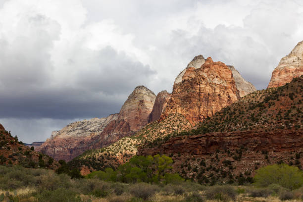 istock Zion National Park 1495219592