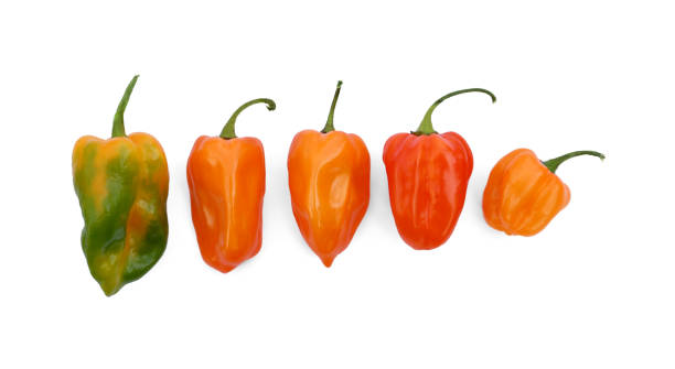 istock Different hot chili peppers on white background, flat lay 1495220041