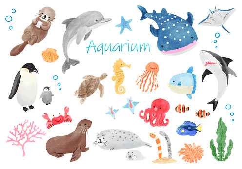 Clip art set of cute creatures in aquarium Hand drawing watercolor