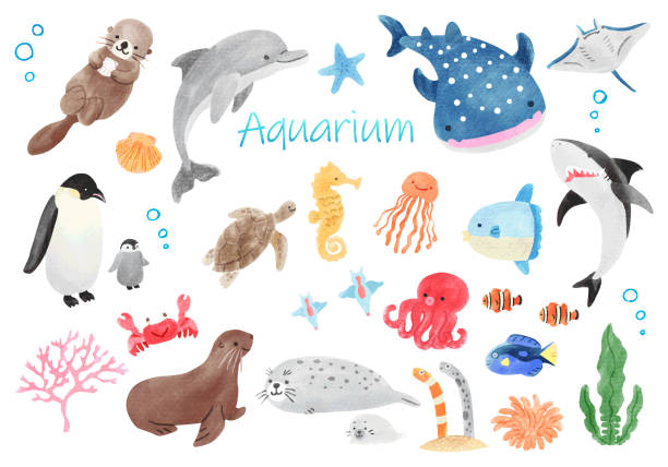 Clip art set of cute creatures in aquarium Hand drawing watercolor Clip art set of cute creatures in aquarium Hand drawing watercolor saltwater fish stock illustrations