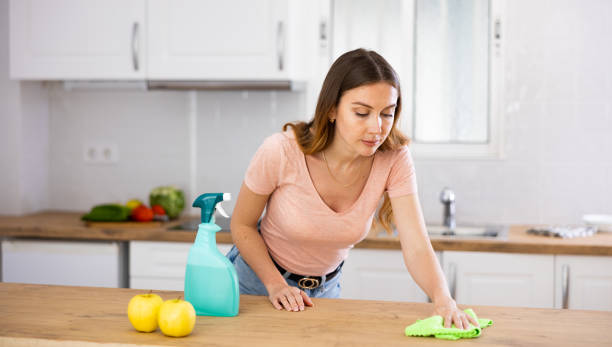 istock Portrait of female houseworker dusting kitchen surfaces 1495224188