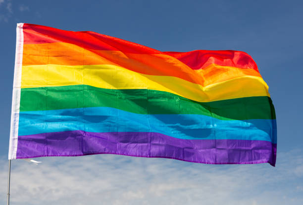 istock LGBT flag waving on cloudy sky during daytime 1495224713