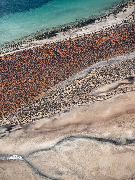 istock Abstract aerial coastline 1495227438