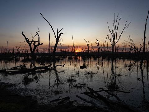 Sunset Winton Wetlands Victoria Australia
