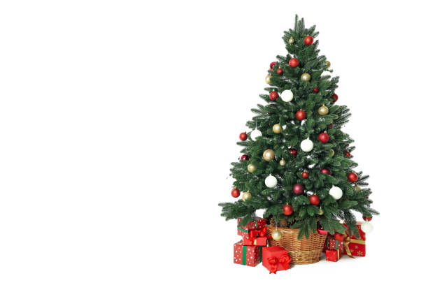 istock Composition with Christmas tree and gifts isolated on white background 1495234306