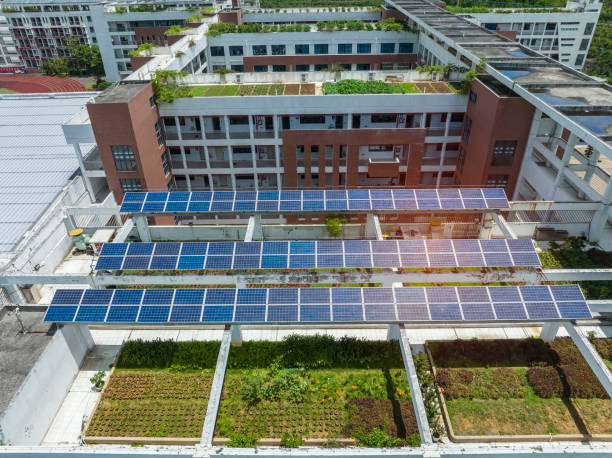 istock Solar panels on the school roof. 1495245065
