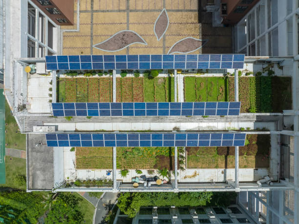 Solar panels on the school roof.