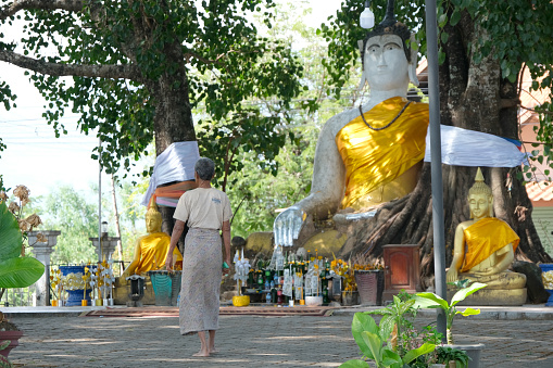 Novices under umbrellas at historic temple, Mingun, Mandalay, Myanmar