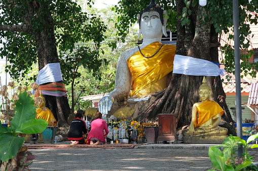 Local people praying a Buddha in Champasak Province, Laos