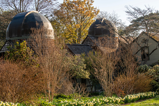 Swarthmore, USA - April 9, 2023. Arboretum in Swarthmore College, Pennsylvania, USA