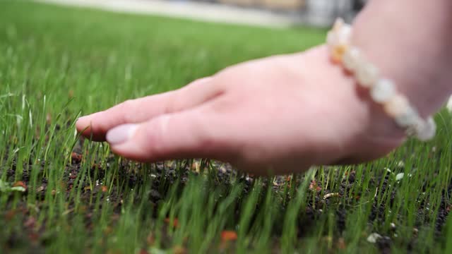 A white female hand gently strokes the grown green lawn on the ground with her palm. Landing a green lawn near housing and a store. Sale of lawn seeds