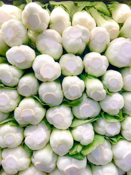 Bok Choy- Pak Choy - Pok Choi - Chinese Cabbage