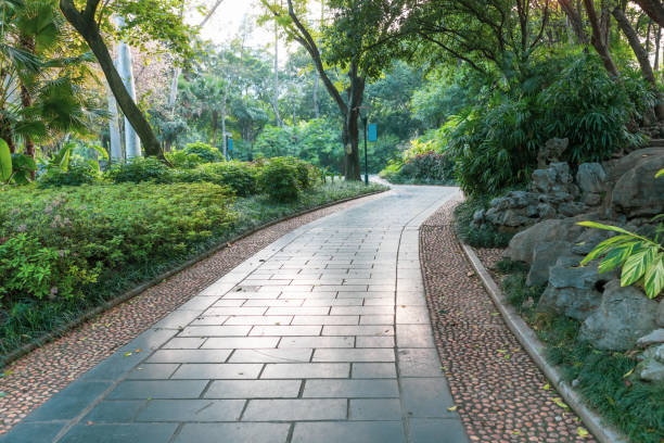 istock Path of the park 1495269198