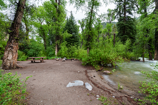 Creekside Campsite Next to Flowing Mountain Creek in Springtime - Outdoor recreation area suitable for camping situated in scenic nature. Empty campsite with nobody. Picnic table and firepit.