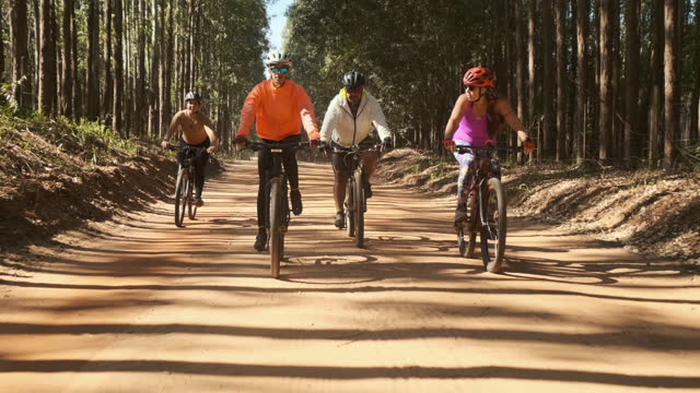 Friends cycling on a trail through eucalyptus plantations