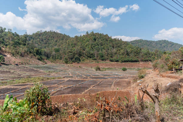 província de mae hong son, norte da tailândia. - mae hong son province - fotografias e filmes do acervo