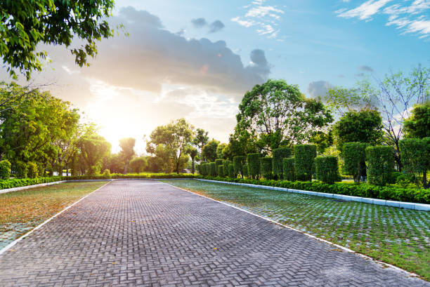 istock Empty parking lot with green plants 1495275888