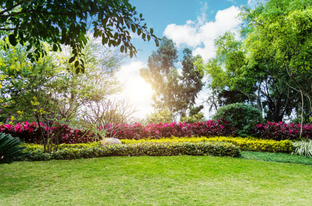 istock Public park with green grass and bush 1495275894