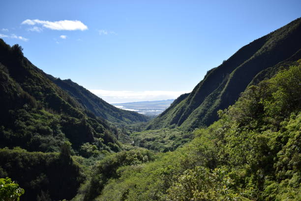 iao valley, maui - maui iao valley state park hawaii islands mountain imagens e fotografias de stock