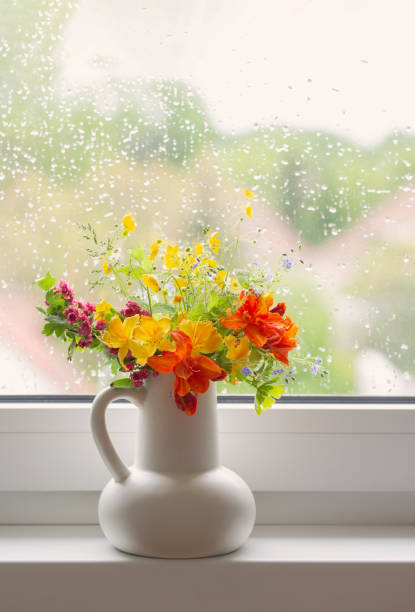 istock summer flowers in white jug on windowsill 1495279214