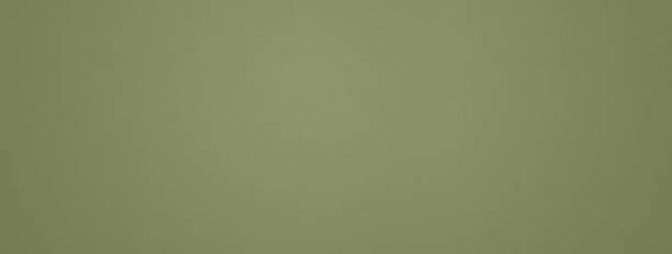 istock Khaki green paper texture background 1495279573