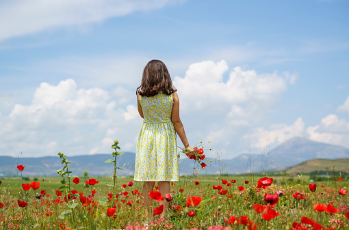 Cute little girl in a colorful dress standing on a field of flowers in the summer