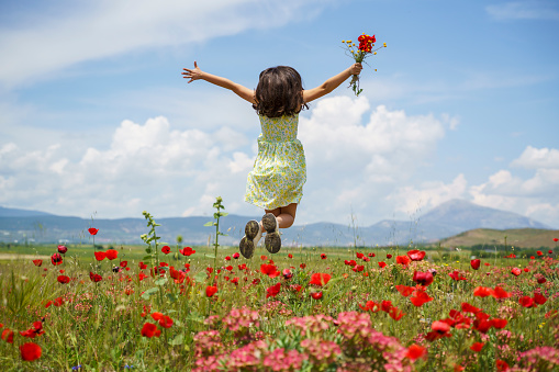 Cute little girl in a colorful dress jumping on a field of flowers in the summer