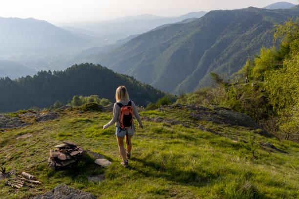 Mountains distant, Piedmont