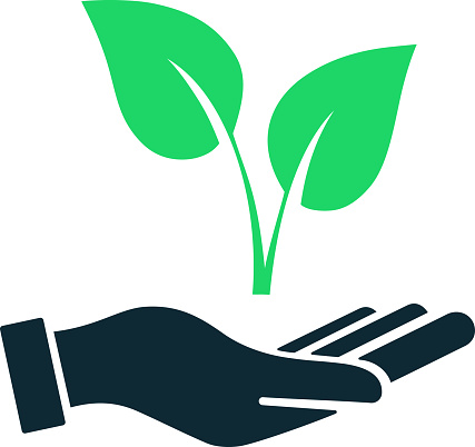 Green sprout icon in the hand as a concept of environmental conservation