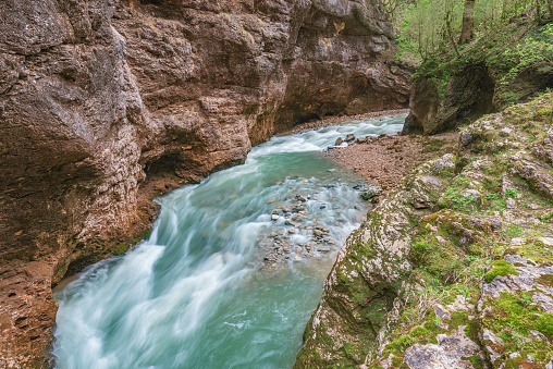 Creek in the deep gorge. Caucasus. Russia.