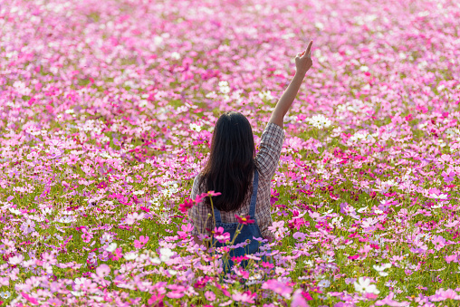 Happy woman raise hand and pointing finger up in beautiful pink cosmos flower garden in Chiang Mai.