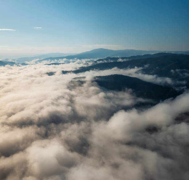 istock Low clouds creeping on the tree-covered mountain slopes 1495289407