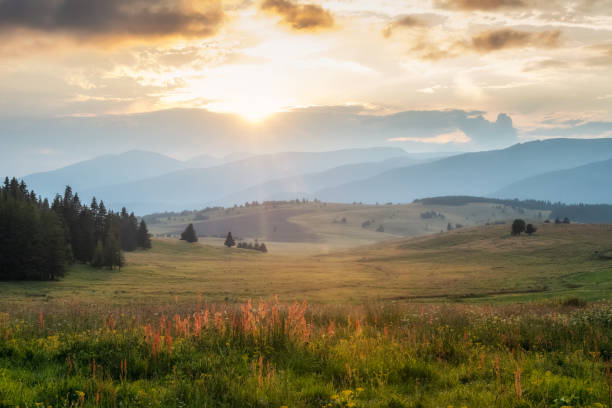 istock Mountain meadow and distant slopes in golden hour at sunset 1495290391