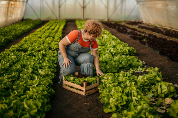 istock Woman working on the farm 1495292740