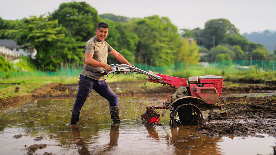 A portrait of a male farmer working on a rice field with a farm truck.