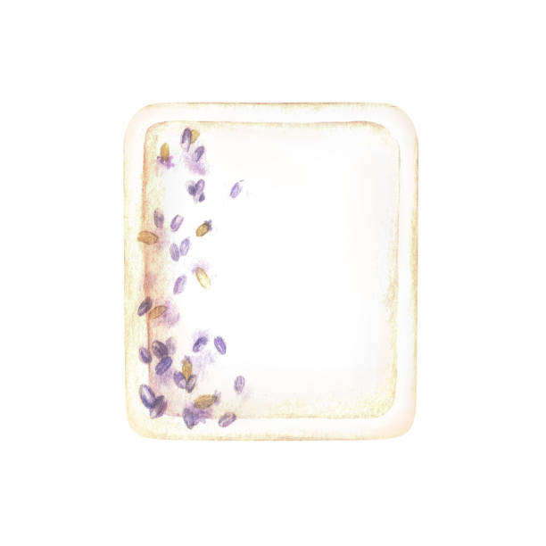 illustrazioni stock, clip art, cartoni animati e icone di tendenza di illustrazione ad acquerello. sapone con fiori di lavanda. isolato su sfondo bianco. solida saponetta beige con erbe viola. per la progettazione di libretti spa, biglietti da visita, cartoline di bellezza - white background clean flower bar of soap