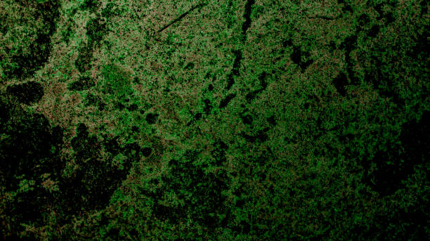 istock Mossy cracked cement wall, dark green for design background 1495299192