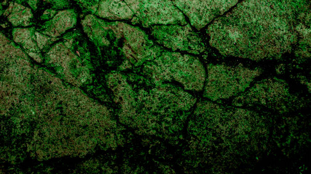 istock Mossy cracked cement wall, dark green for design background 1495299222