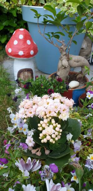 istock Garden story 1495300981