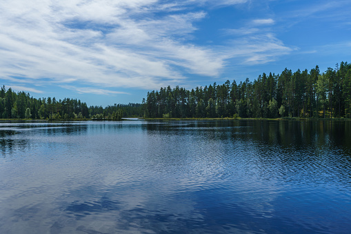 Beautiful summer view across the water of a lake in Sweden, with shiny blue water, green trees and sunlight