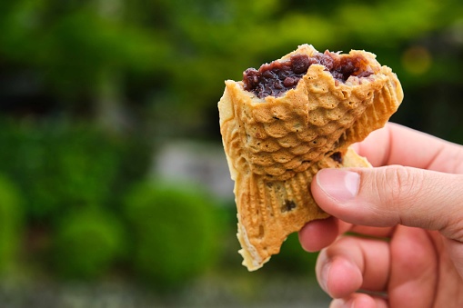 Hand holding a bitten Taiyaki, japanese fish-shaped waffle filled with sweetened red bean paste in Kyoto, Japan.